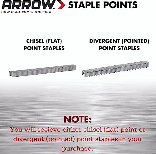 Modern Arrow Fastener 506IP Heavy Duty T50 Staples for Daily Use